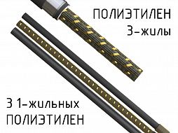 katalog